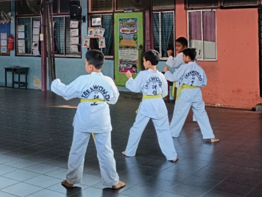 Aktiviti Taekwondo